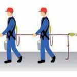 climax horizontale levenslijn 3