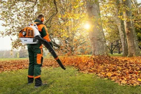 Stihl BR 450 C EF 2