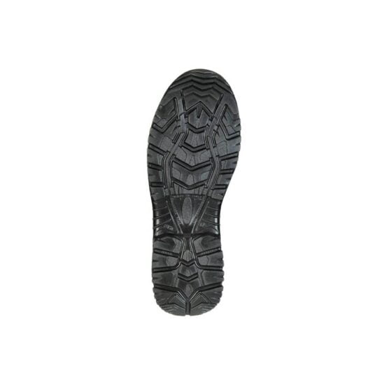 Sixton Montana 81156 23 zool