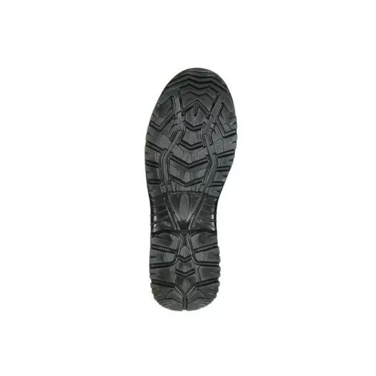 Sixton Montana 81156 23 zool