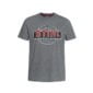 STIHL HERITAGE T shirt - Grijs