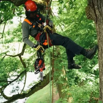 ECHO CS-2511TES Benzine tophandle kettingzaag 25cm - 1.1kW - Afbeelding 6