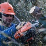 ECHO CS-2511TES Benzine tophandle kettingzaag – 1,1kW