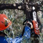 ECHO CS-2511TES Benzine tophandle kettingzaag – 1,1kW