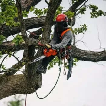 ECHO CS 362WES Benzine kettingzaag - 1.5kW - Afbeelding 6