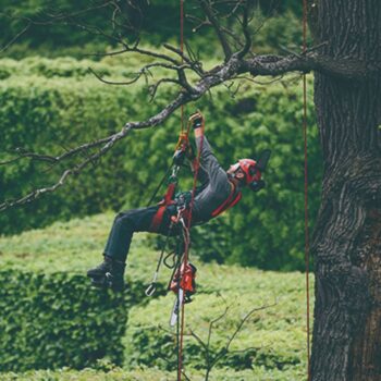 ECHO CS 362TES Benzine tophandle kettingzaag - 1.5kW - Afbeelding 6