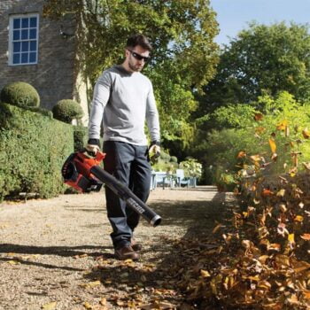 ECHO ES 250ES Bladblazer/Zuiger – BuitenKansje! - Afbeelding 3