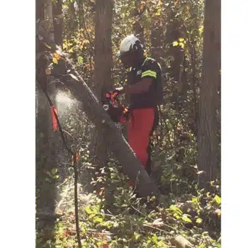 ECHO CS 4510ES NC Benzine kettingzaag - 2.3kW - Afbeelding 8