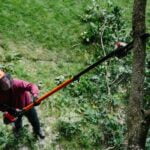 ECHO PPT-2620HES Benzine hoogsnoeier – 1,0kW