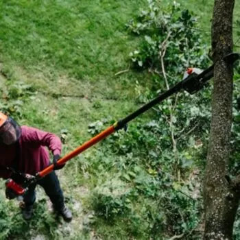 ECHO PPT2620HES Benzine hoogsnoeier - 1.0kW - Afbeelding 6