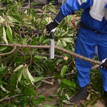 GTM Hakbijl dubbelzijdig geslepen 210 mm - Afbeelding 4