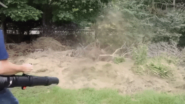 ECHO PB-9010T Ruggedragen bladblazer GIF2