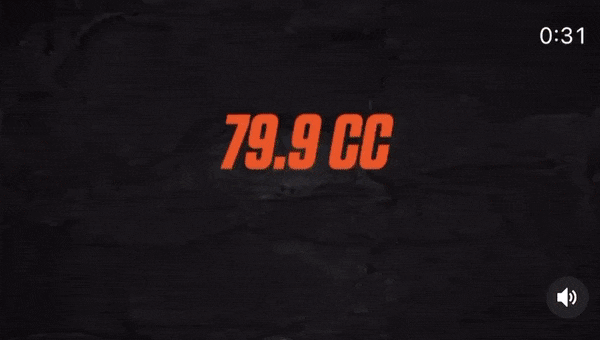 ECHO PB-9010T Ruggedragen bladblazer GIF3