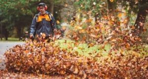 ECHO PB-9010T Ruggedragen bladblazer AFB1