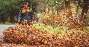 ECHO PB-9010T Ruggedragen bladblazer AFB1