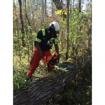 ECHO CS 4510ES NC Benzine kettingzaag - 2.3kW - Afbeelding 10