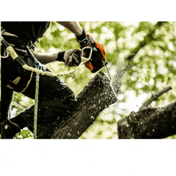 ECHO DCS-2500T Accu tophandle kettingzaag - 1.2kW - Afbeelding 10