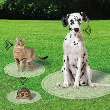 Ambrogio AMICO safety chip voor dieren - Afbeelding 4