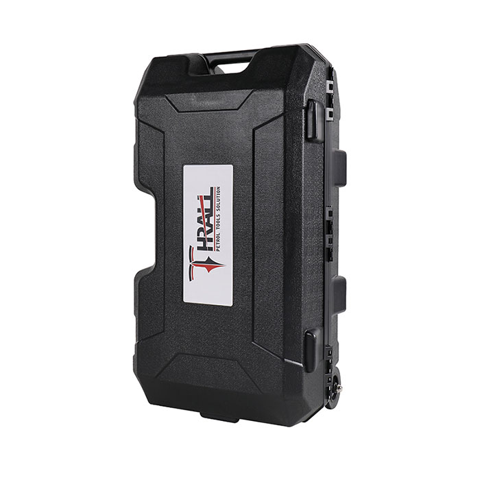 DPD100N-palenraamer-1