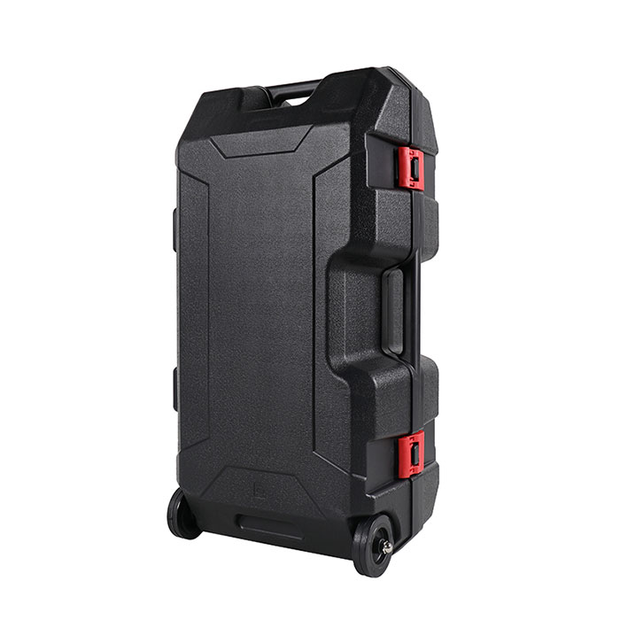 DPD100N-palenraamer-3