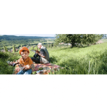 STIHL FSA Speelgoed bosmaaier - Afbeelding 3