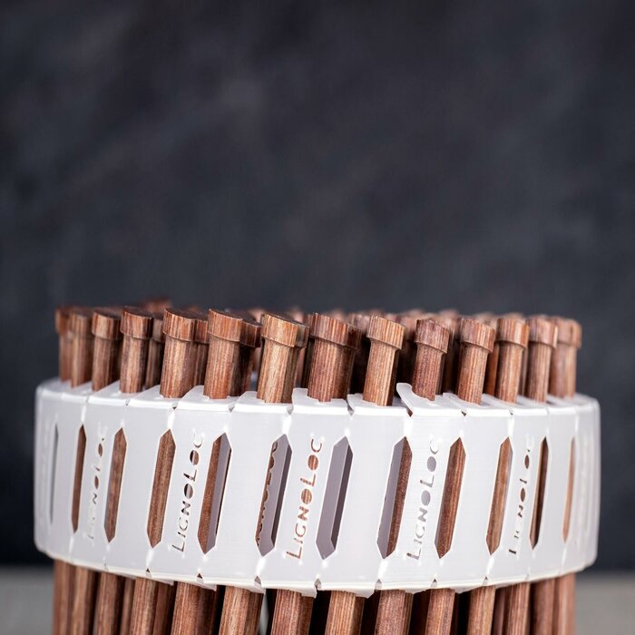 Beck-Fastening-LignoLoc-Houten-Coilnagels-4.7-x-58-mm-1000-stuks-1 – 6