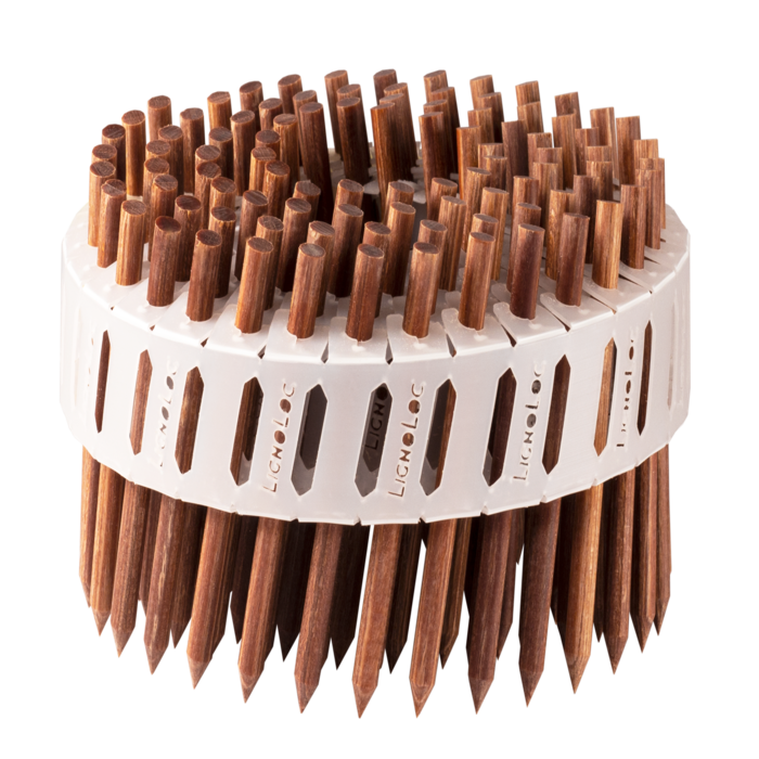 Beck Fastening LignoLoc Houten Coilnagels 4.7 x 75 mm – 2400 stuks
