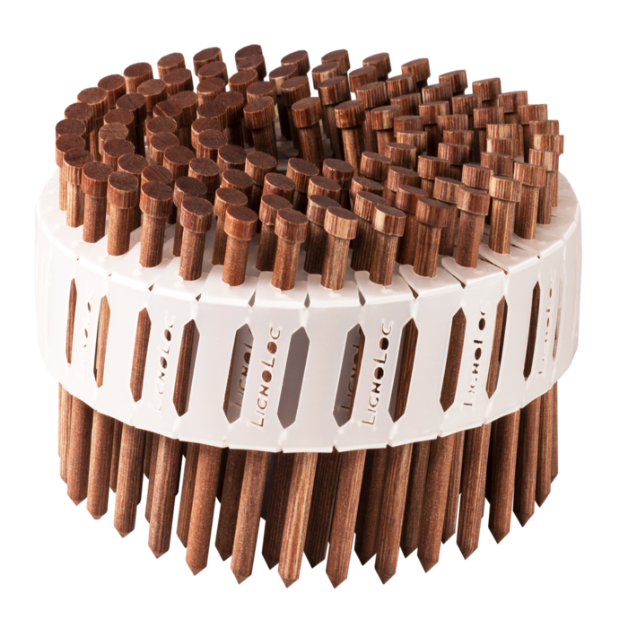 Lignoloc-Coil-Nails-with-head-for-F60H-RGB-1600x1124px-png24-3